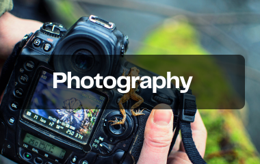 Photography Services Photography Services