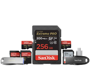 Memory Storage